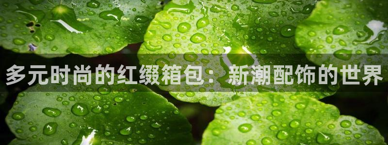 卧龙娱乐老板是谁