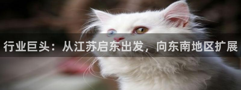 卧龙棋牌娱乐官网首页