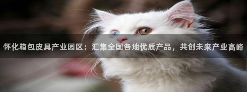 卧龙娱乐注册地址