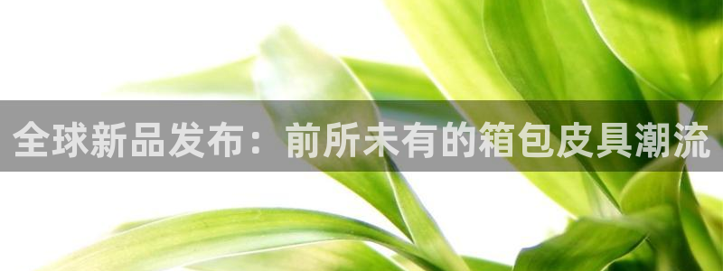 卧龙玩娱乐场