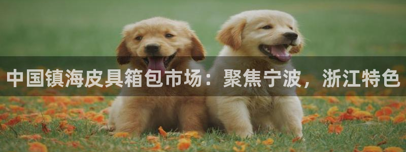 卧龙娱乐彩票中奖