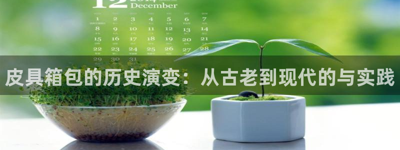 卧龙桥休闲娱乐园