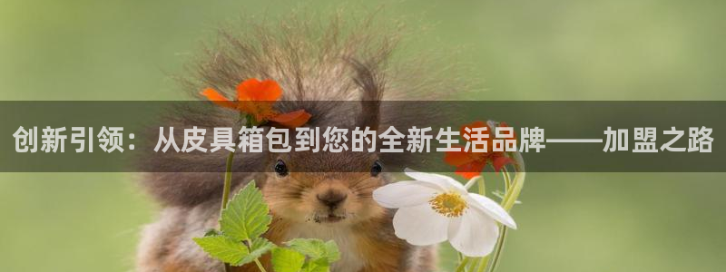 卧龙凤雏娱乐版