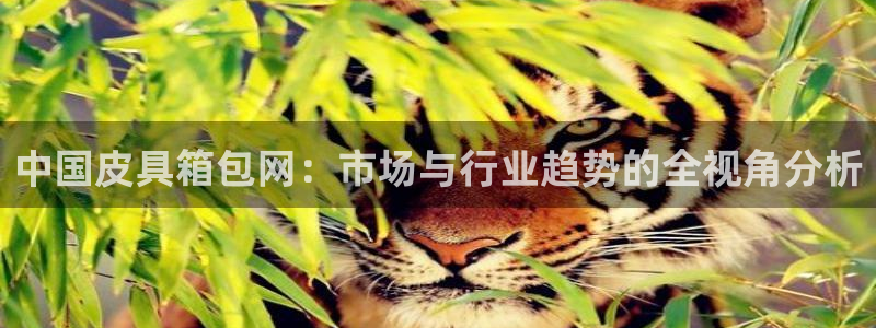 卧龙2神机娱乐代理