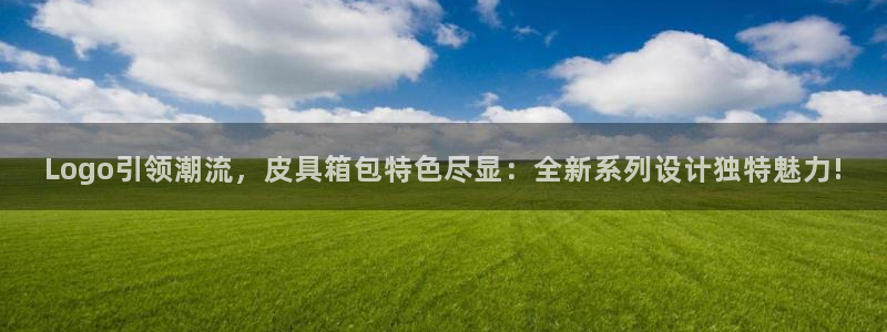 卧龙娱乐招商主管薪资