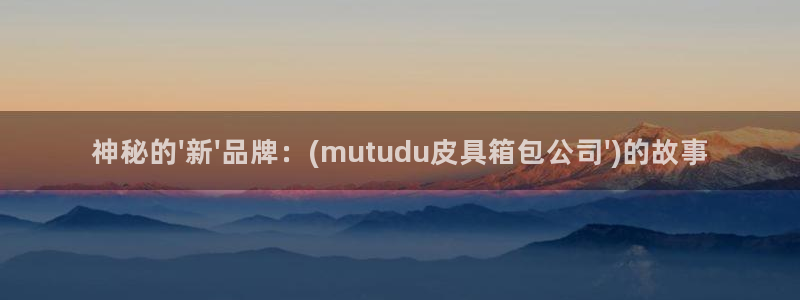 卧龙娱乐总管