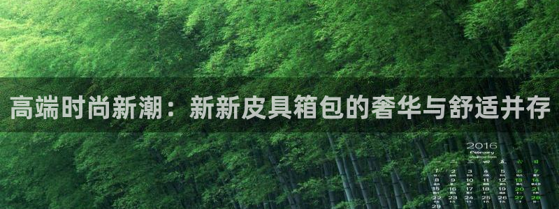 卧龙娱乐平台登录入口