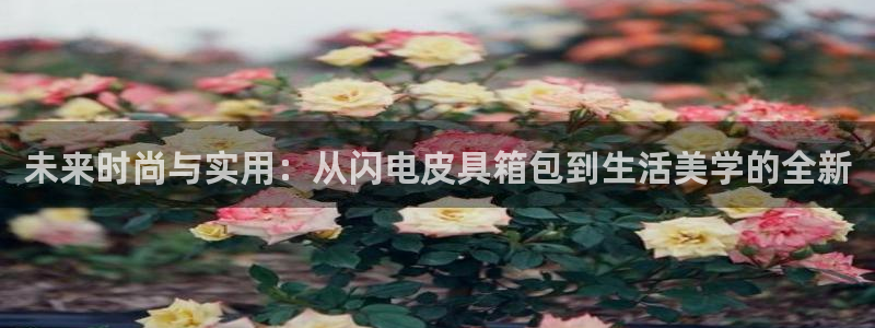 卧龙娱乐975949