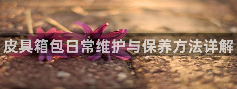 南阳卧龙岗景区娱乐项目
