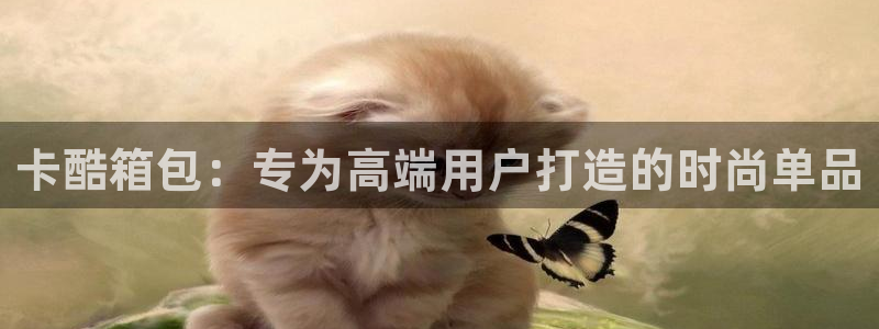 卧龙岗娱乐馆