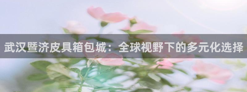 娱乐小卧龙