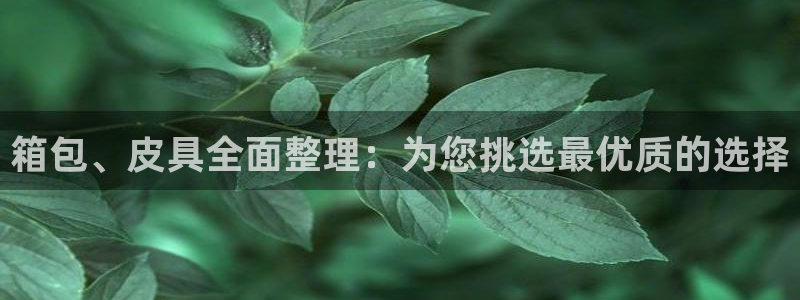 星鸿娱乐 0 47卧龙