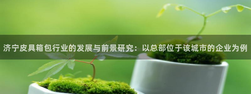 万景娱乐 卧龙