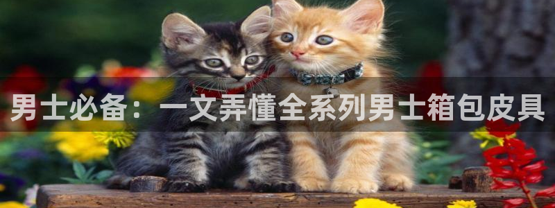 卧龙娱乐前