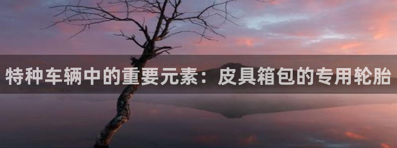 卧龙娱乐右7O667