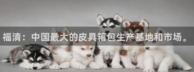 卧龙娱乐官网
