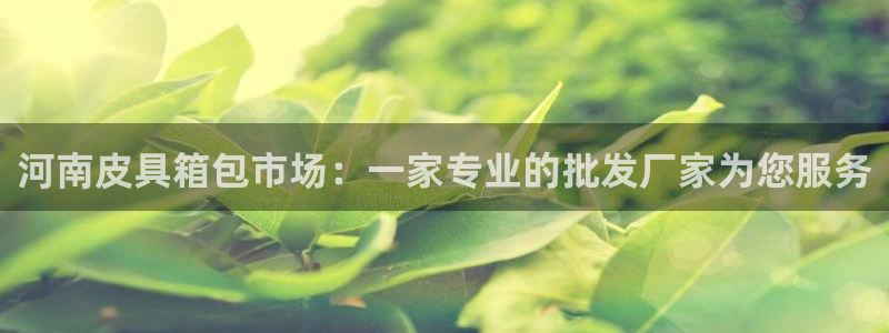 卧龙娱乐是什么