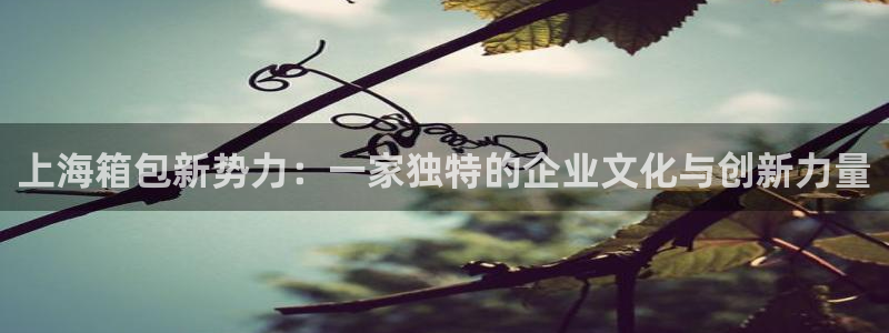 卧龙娱乐怎么注册新账号