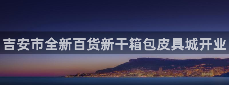 卧龙娱乐气垫项目投资